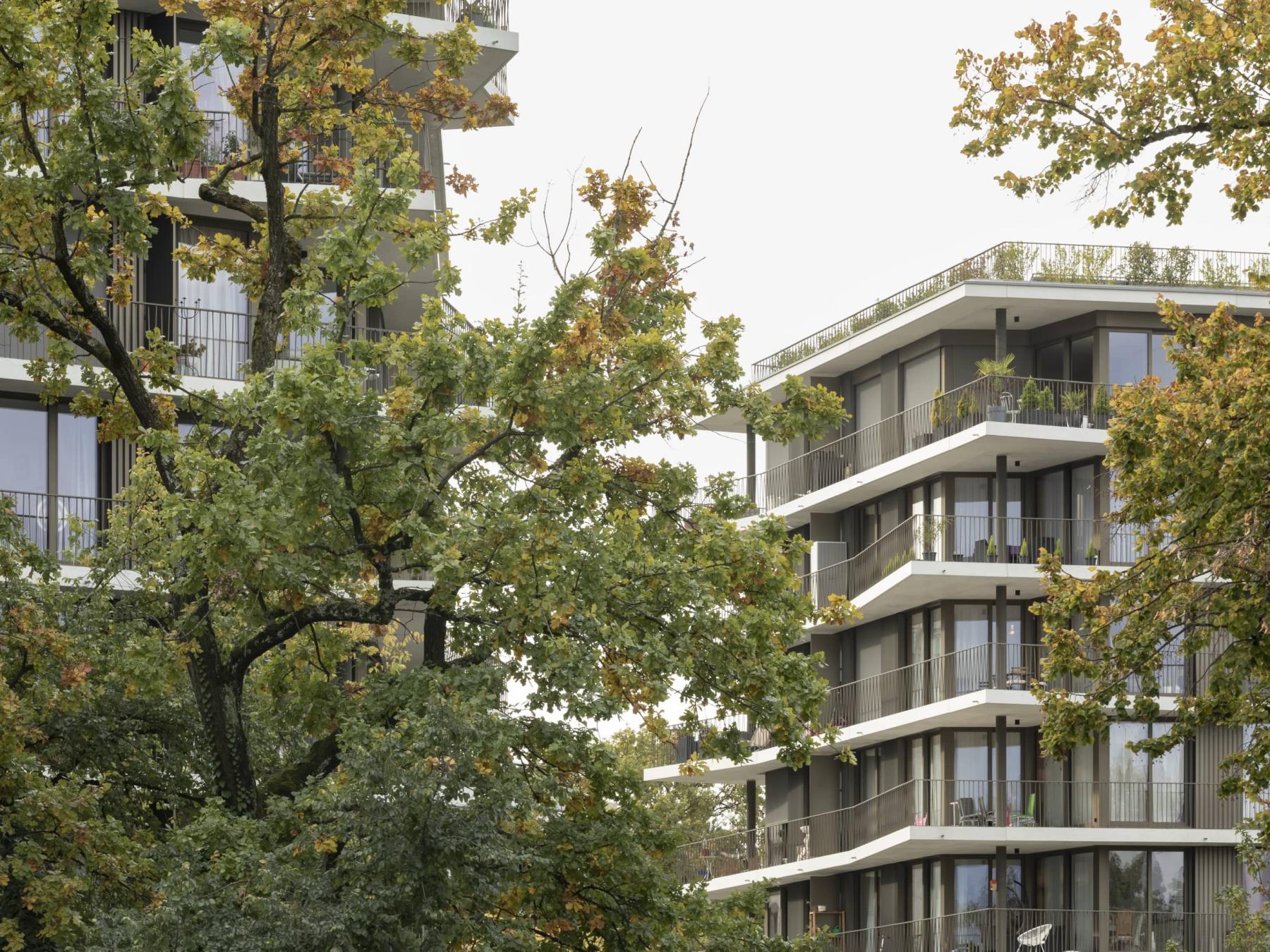 Les Jardins de la Gradelle - Geneva - 2021