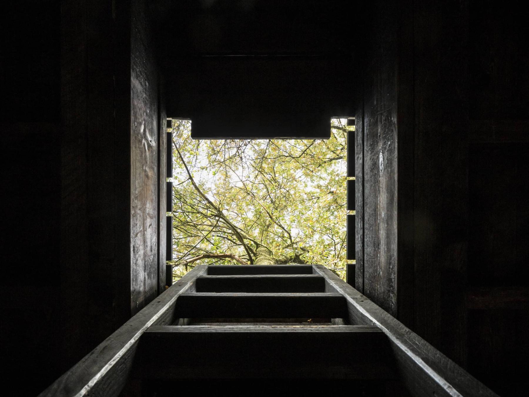 Levitas hut - Belgium - 2019