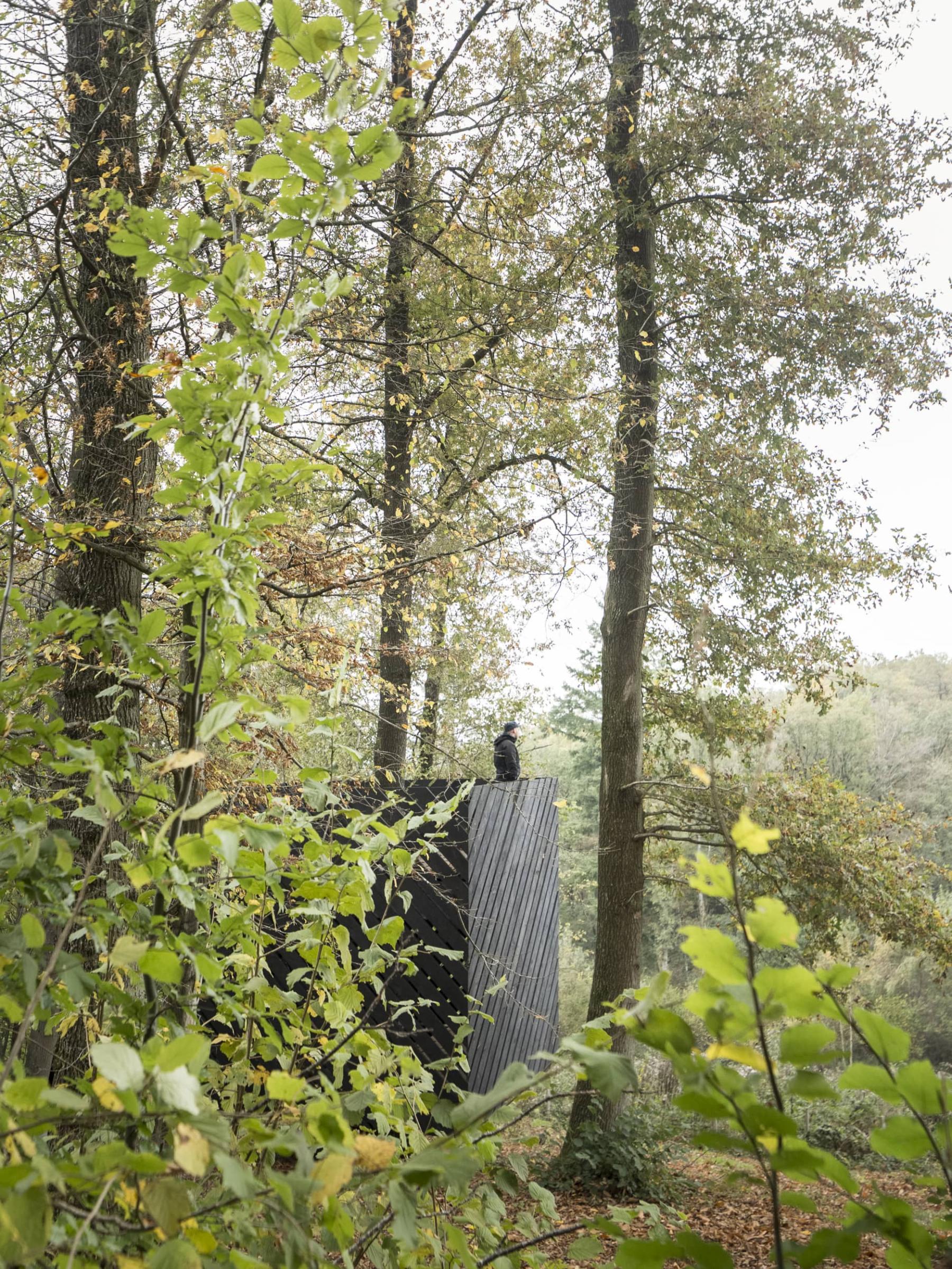 Levitas hut - Belgium - 2019