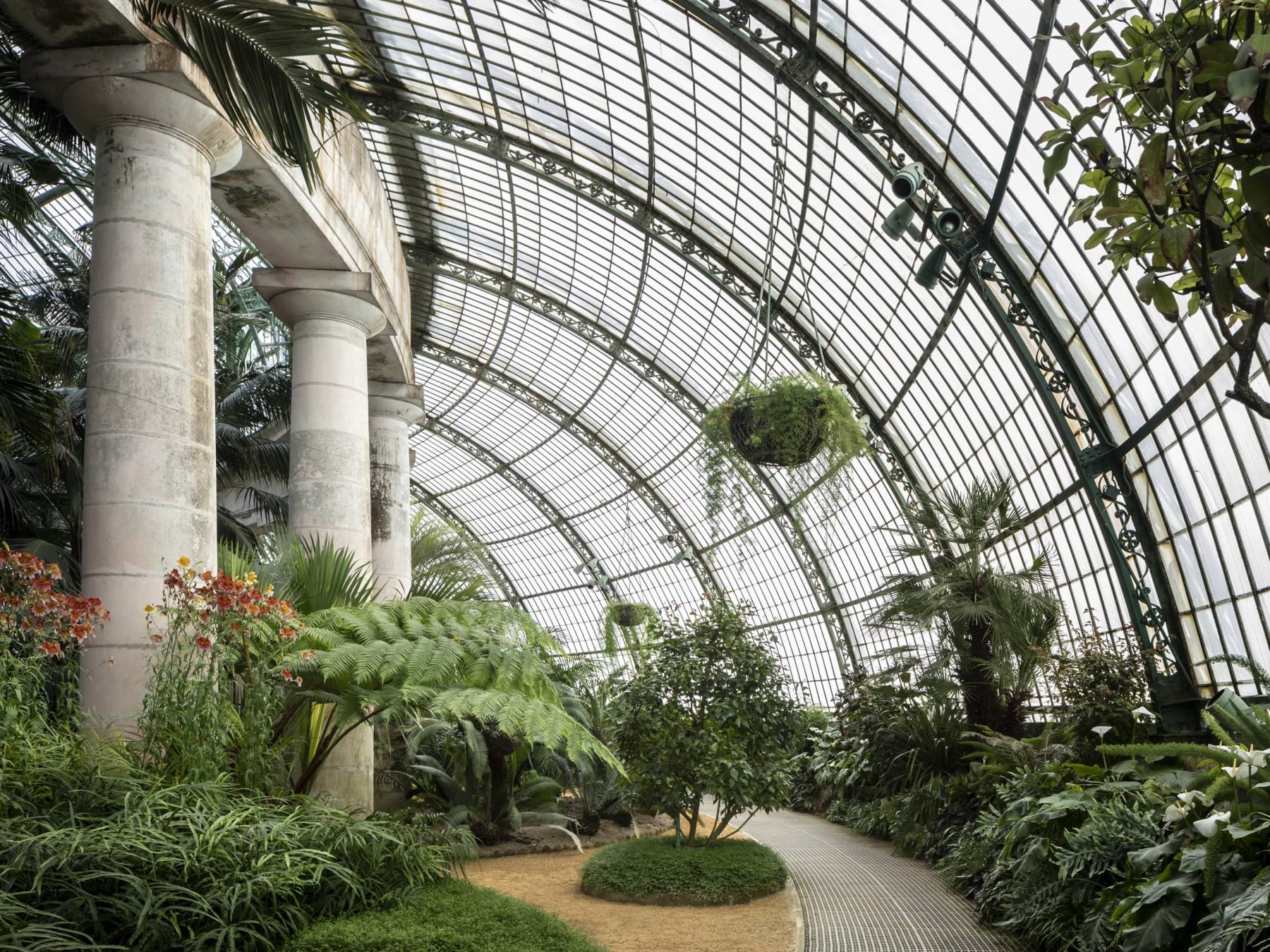 Royal Greenhouses of Laeken - Brussels - 2021